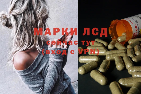 СК Горняк