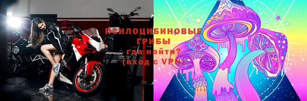 СК Горняк