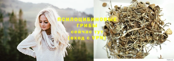 mdpv Горно-Алтайск